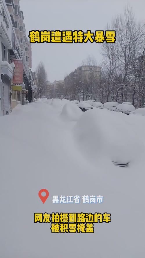 雪纷飞!黑龙江黑河伊春等地未来三天雨雪在线 部分地区有大雪