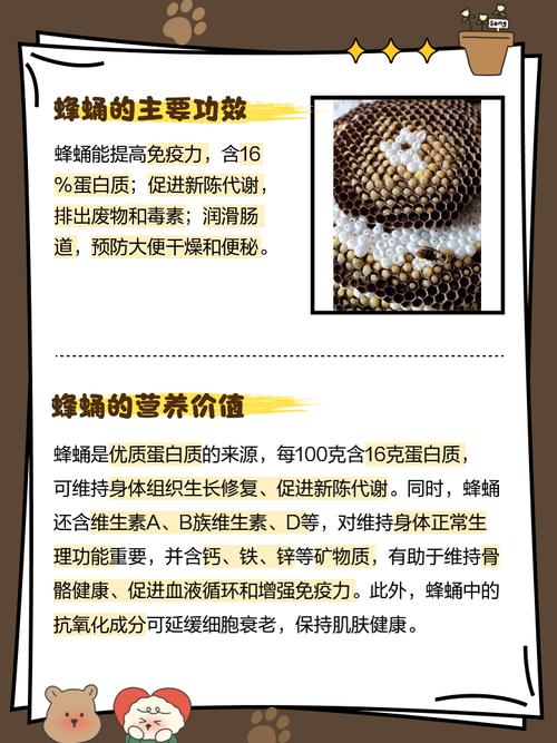 蜂蛹大量上市 医生提醒:这些人群谨慎食用