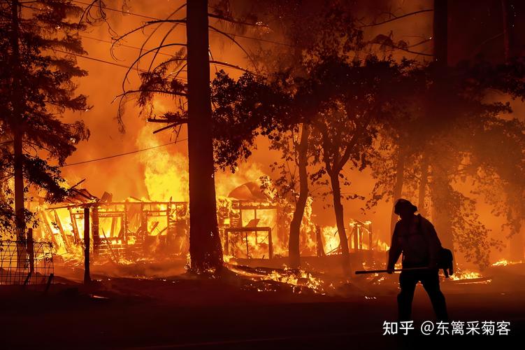 美国加州因山火进入紧急状态 超九万名用户断电