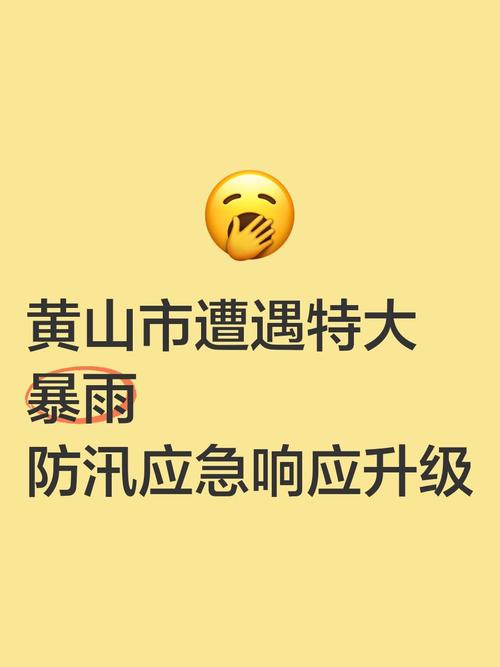 安徽省黄山市发布暴雨黄色预警_1