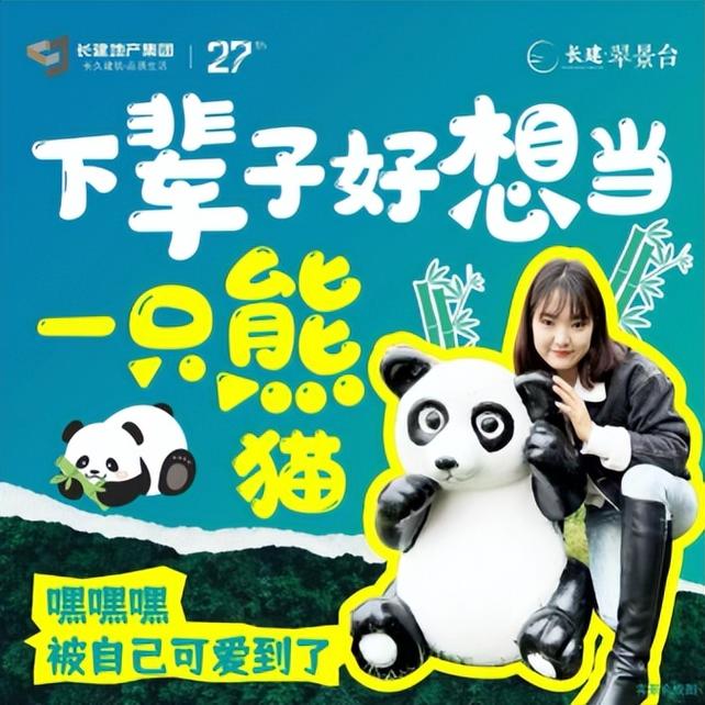 移动互联时代,大熊猫是如何成为“顶流”明星的?