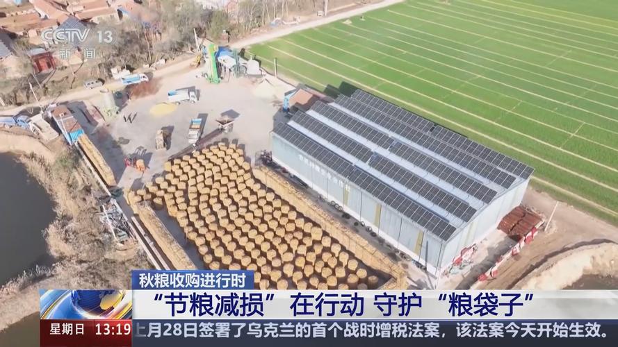 进度过四成!全国秋粮收获进入高峰期