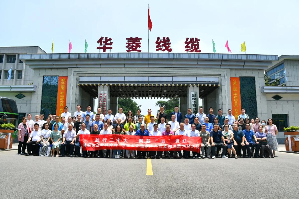 湖南华菱线缆股份有限公司非独立董事朱吉尧辞职