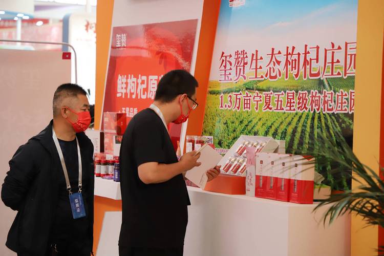 宁夏:全产业链护航枸杞发展 让小红果成为富民“大产业”