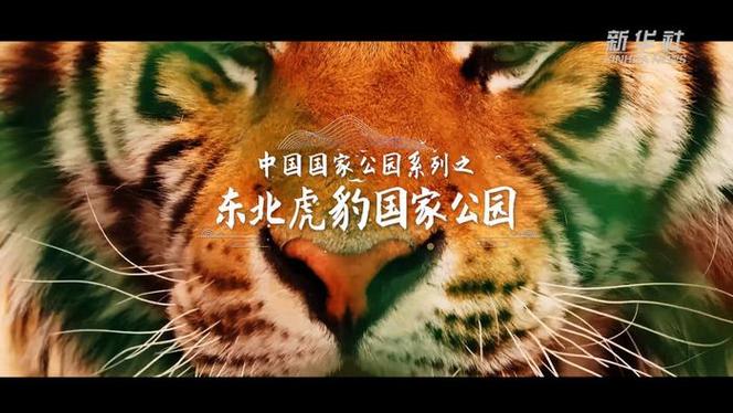 东北虎豹国家公园完成自然资源确权登记