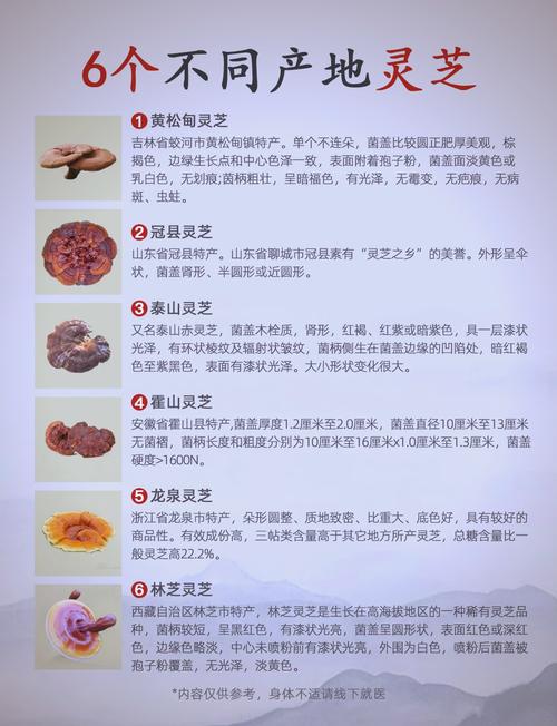 西藏林芝高原农特产品展销对接助力“藏货出藏”