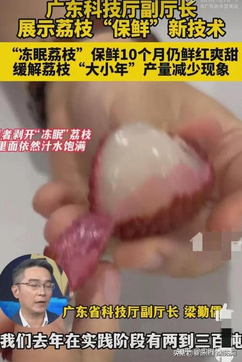 冻眠锁鲜技术让广东荔枝四季可食