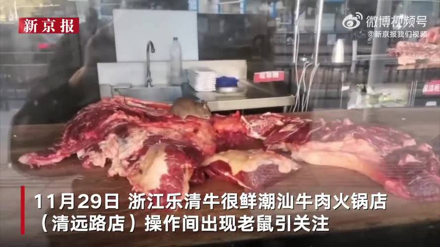 顾客隔窗拍到火锅店老鼠吃牛排,乐清市市场监管局:查封!