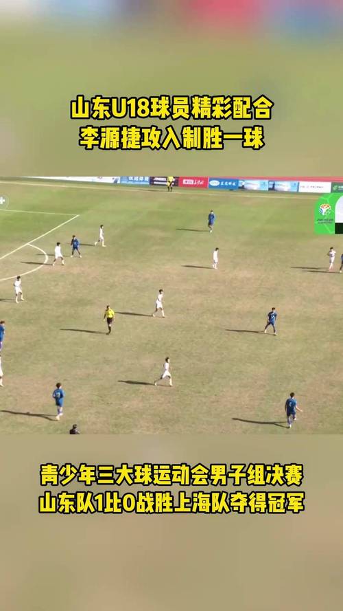 足球——全国青少年三大球运动会:山东队获男足冠军