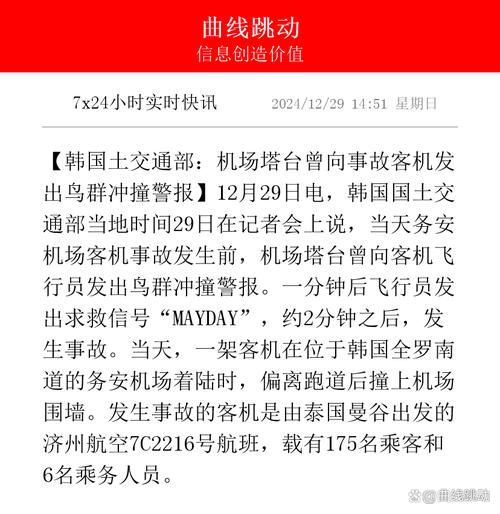 韩国土交通部:机场塔台曾向事故客机发出鸟群冲撞警报