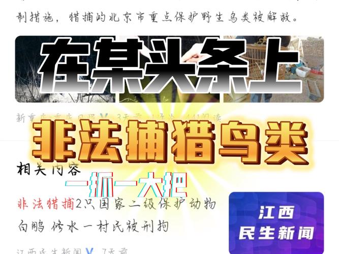 非法打鸟还用上了无人机!益阳沅江警方抓获8人