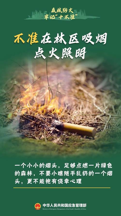 云南省大关县发布森林火险黄色预警