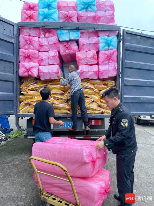 违规运输一次性不可降解塑料制品 海口这名司机被罚1.2万元