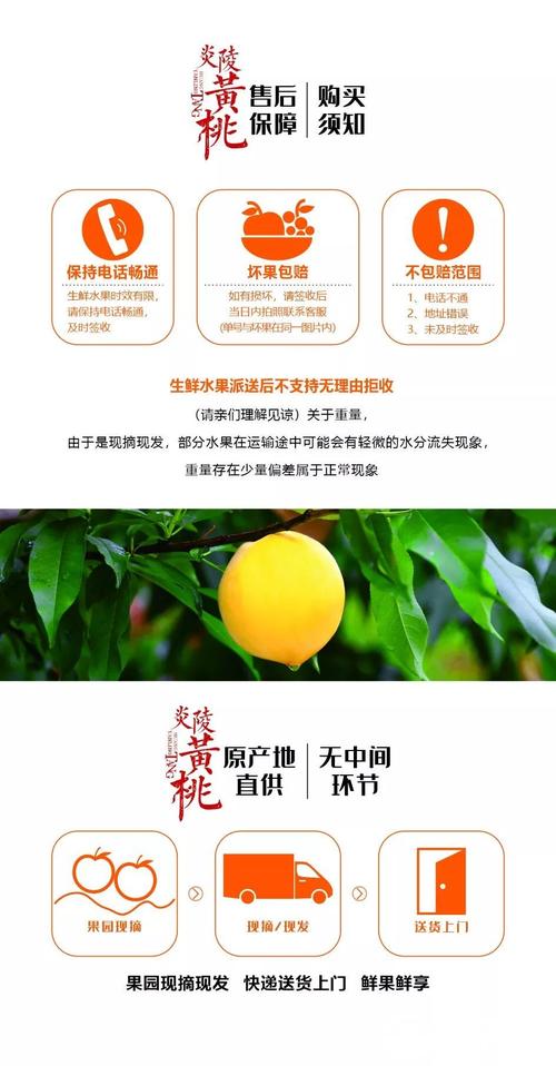 精彩纷呈!2024年第二届炎陵黄桃文化季“四大活动”等你来