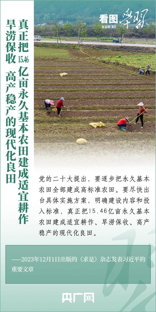 良种+良法 促进海南南部市县夏秋季瓜菜提质增效