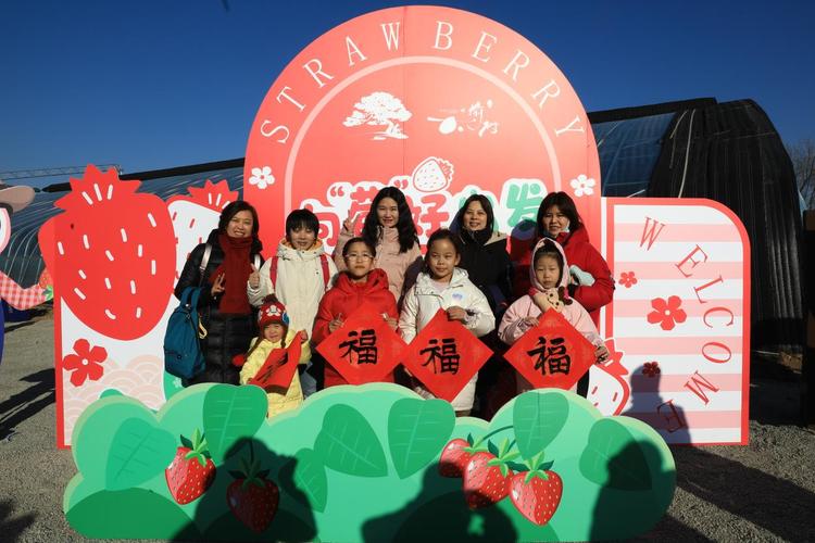 (新春走基层)吉林“草莓小镇”新春不打烊