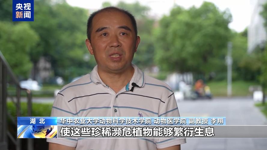 神农架成“蜜罐子” 精心呵护中华蜜蜂