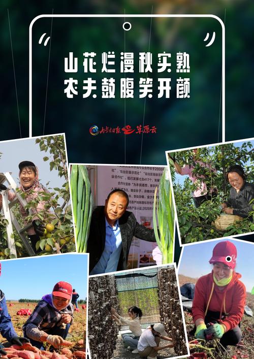 (身边的变化)内蒙古西部农村:特色农业生金 致富增收有道