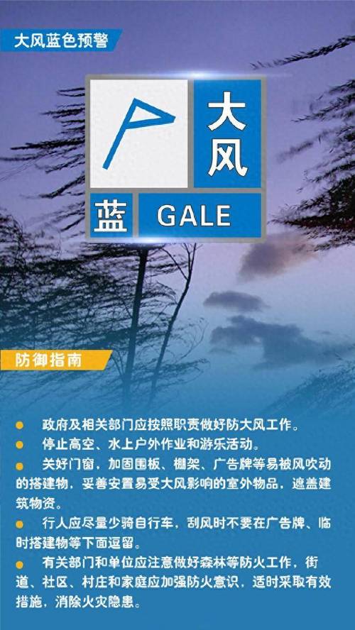 黑龙江省饶河县发布大风蓝色预警_8