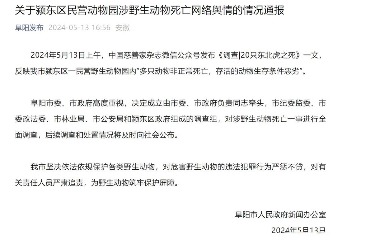 “动物园20只东北虎死亡” 安徽阜阳林业部门通报回应