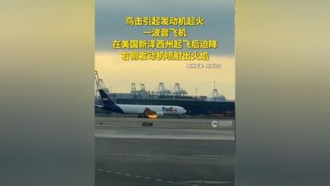 鸟击引起发动机起火 一波音飞机在美国新泽西州起飞后迫降