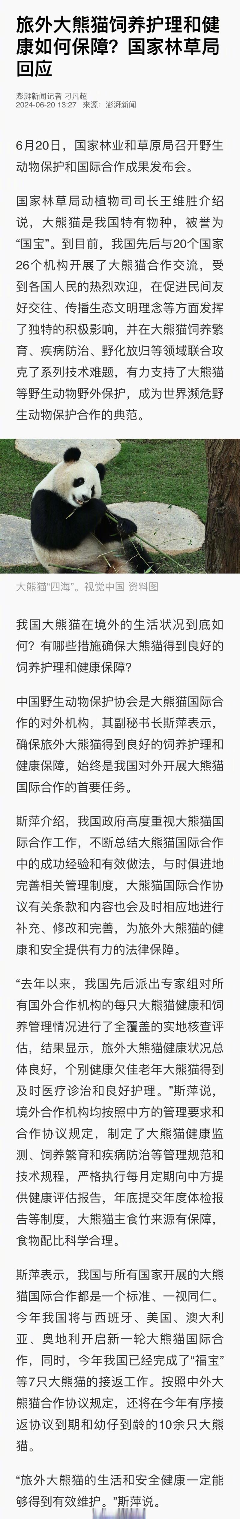 “毕业”后放归野外 野生大熊猫种群数量显著增加