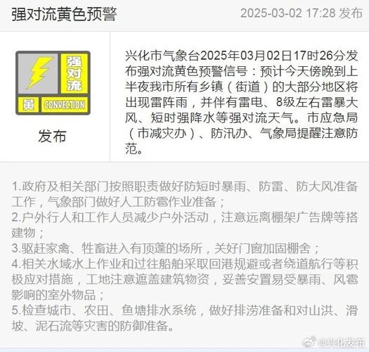 2025首场强对流天气来袭 江西发布雷电黄色预警信号