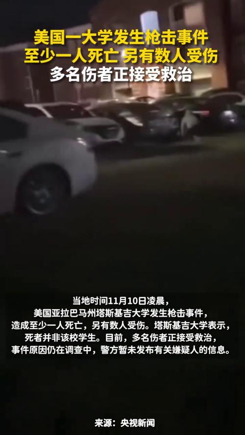 美国上周末枪声不断 造成至少2人死亡40多人受伤
