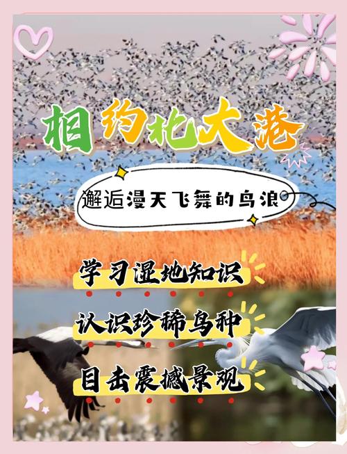 观鸟季来了!探寻“观鸟热”的背后