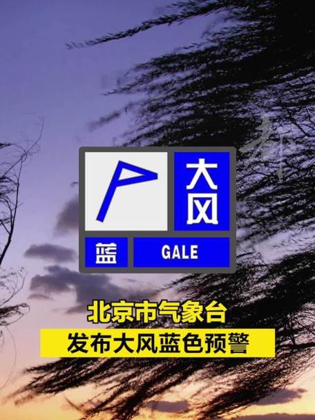 新疆维吾尔自治区托里县发布大风蓝色预警_4