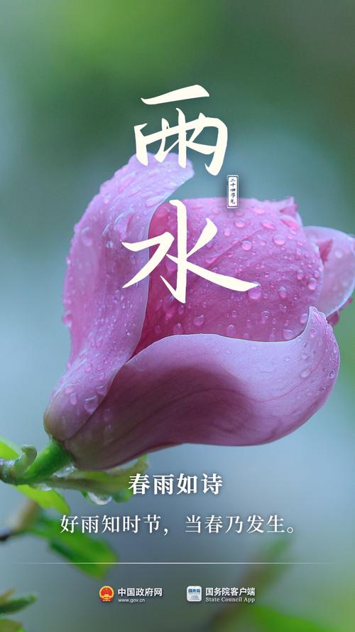 雨水添凉意!北京今日有小到中雨最高气温23℃左右