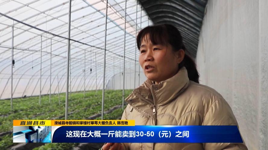 澄迈县4家入选2024年新型农业经营主体和农业社会化服务主体典型案例
