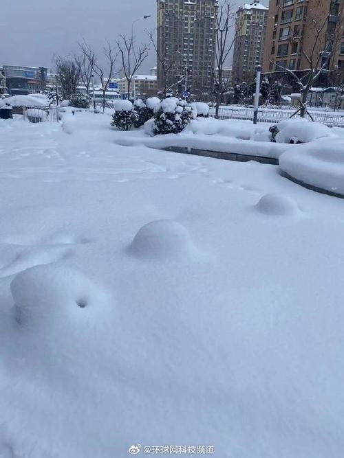 黑龙江多地积雪深度在40厘米左右 今天哈尔滨牡丹江等局地有大雪