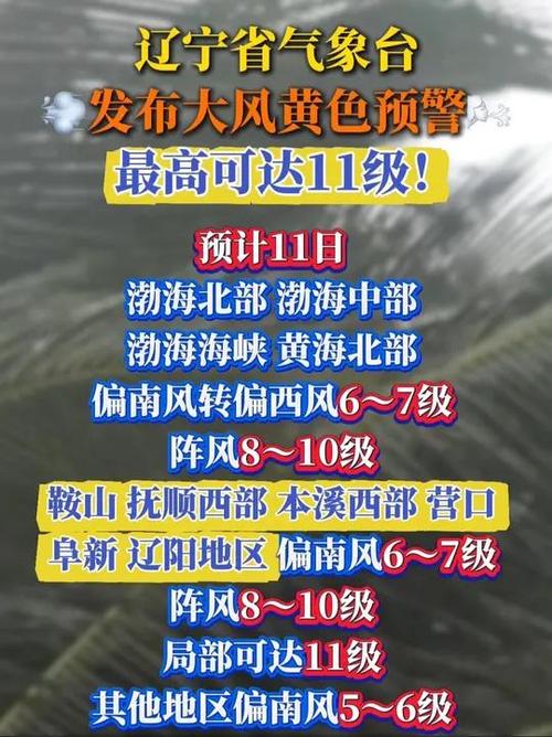 辽宁省盖州市发布大风黄色预警