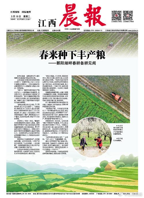 鄱阳湖畔 春来种下丰产粮