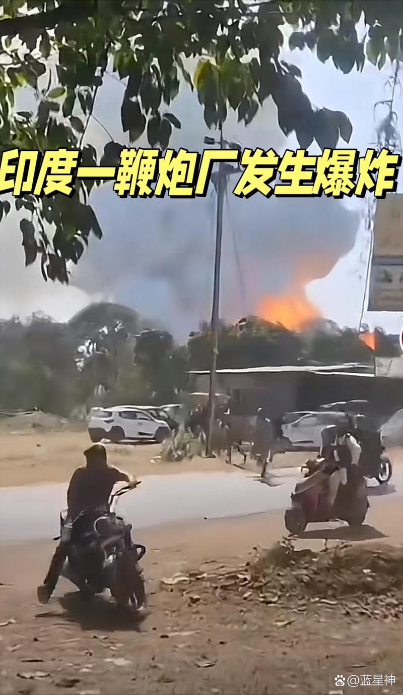 突发!印度一工厂爆炸起火 已致多人死伤