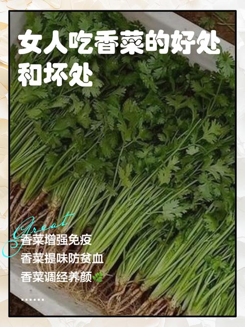 香菜芹菜无花果等 吃了这些晒太阳更易过敏