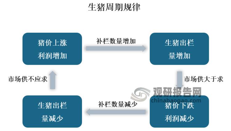 生猪养殖进入全行业盈利期