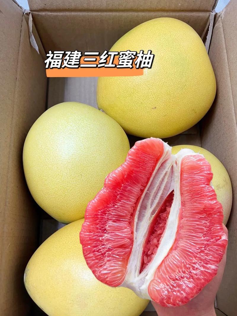 首批17.16吨!福建迎来2024年蜜柚出口季