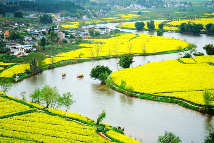 重庆大足:油菜花开 景美如画